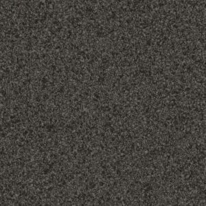 F 73010 TC