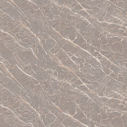 S 63077 CA Shiyan (groot)