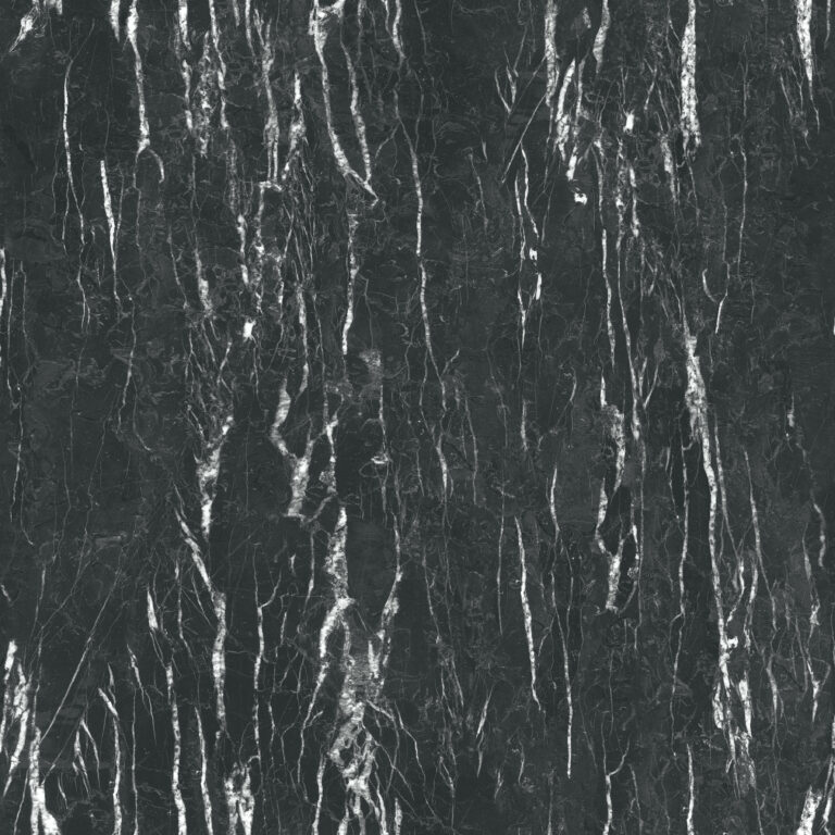 S 63028 CA (groot)