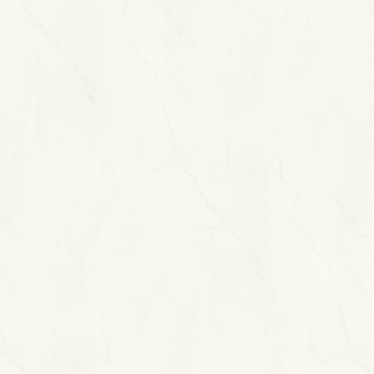 S 63045 SD (groot)